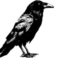 Logo-Poe-Editorial